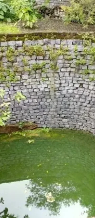 A circular stone stepwell holding green water.