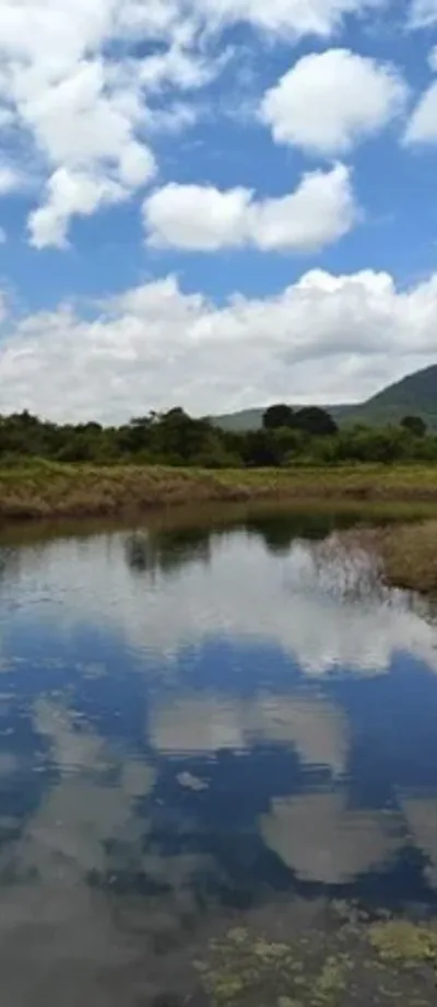 A restored wetland reflecting a bright, cloud-filled sky.