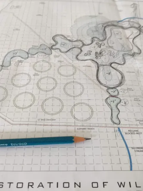 A hand-drawn restoration masterplan showing wetlands, groves and grassland zones.