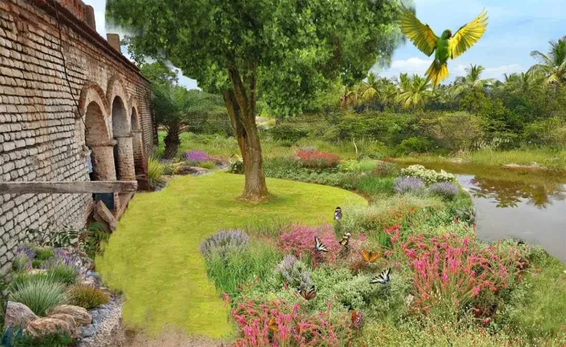 A rewilded garden of native flowering plants and pollinators beside a heritage brick structure.