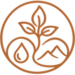 Living systems