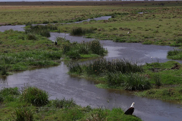 Amboseli National Park 3