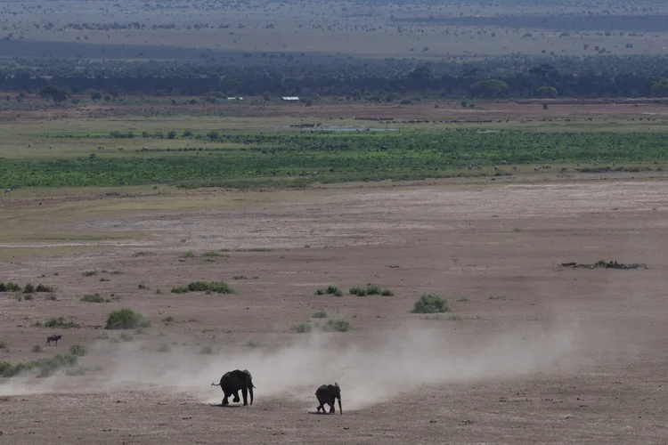 Amboseli National Park 4