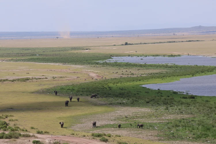 Amboseli National Park 6