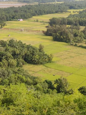 Coastal Landscape of Kumta
