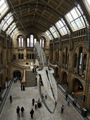 Cultural — photograph from the Visual Journey