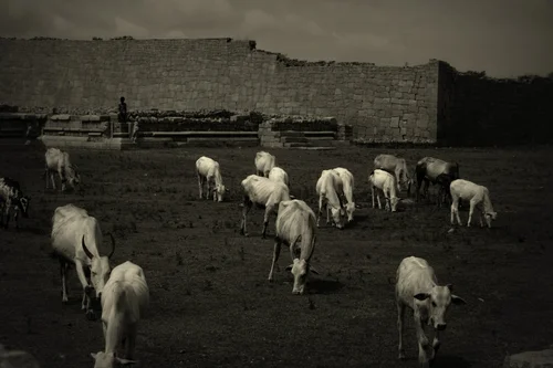 Cultural — photograph from the Visual Journey