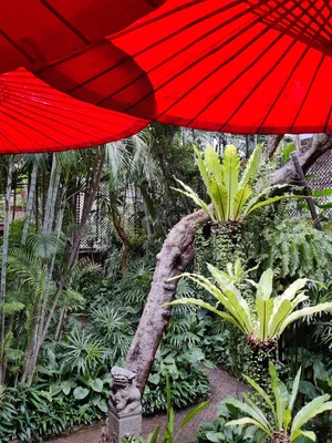 Cultural — photograph from the Visual Journey