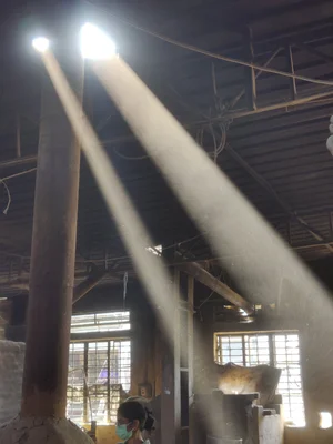 Dusty rays