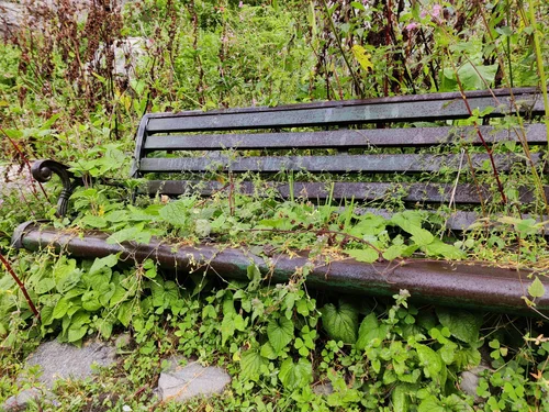 Ecological — photograph from the Visual Journey