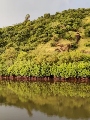 Ecological — photograph from the Visual Journey