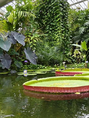 Floral and Faunal — photograph from the Visual Journey