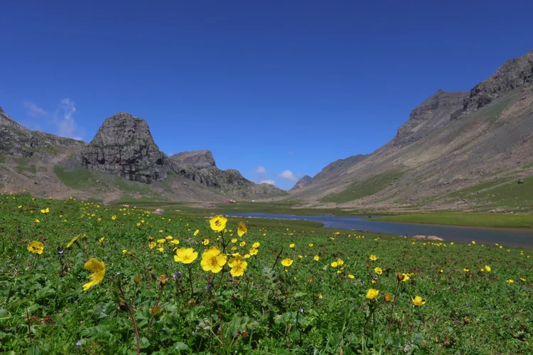 Geographical — photograph from the Visual Journey