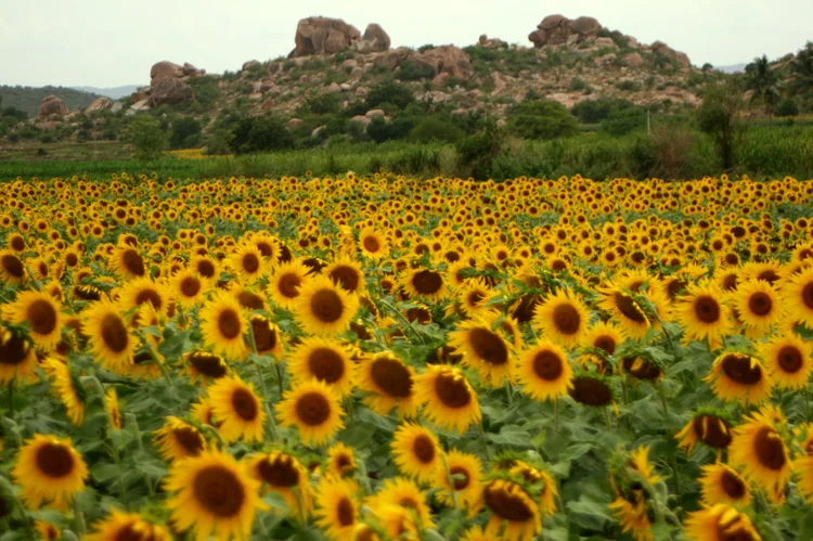 Geographical — photograph from the Visual Journey