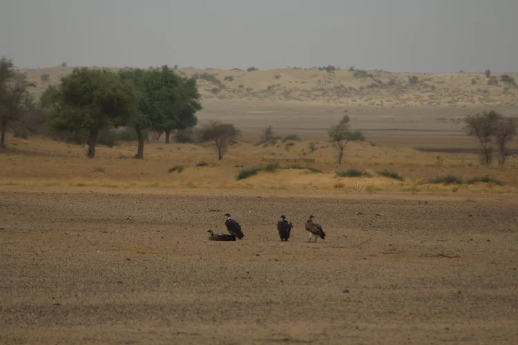 Geographical — photograph from the Visual Journey