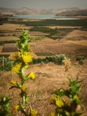 Geographical — photograph from the Visual Journey