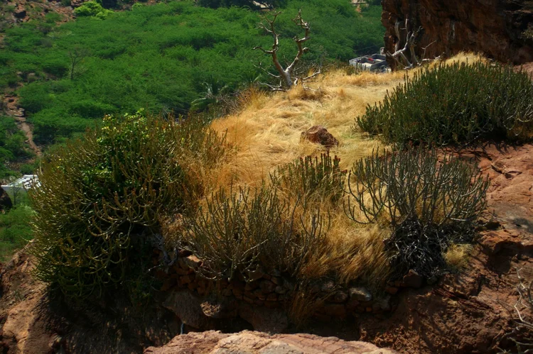 Geographical — photograph from the Visual Journey