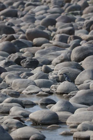 Geological — photograph from the Visual Journey