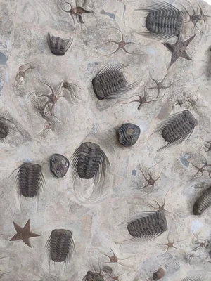 Geological — photograph from the Visual Journey
