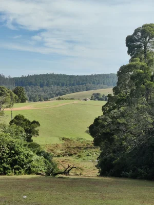Nilgiris Biosphere Reserve 2