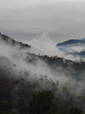 Nilgiris Biosphere Reserve