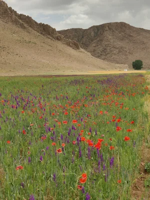 Remote Moroccan landscape