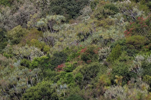 Rift Valley, Kenya 2