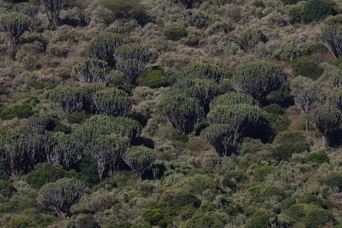 Rift Valley, Kenya