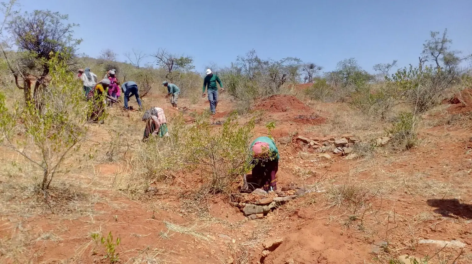 Hydro-Eco Restoration work being implemented by tribal women SHGs