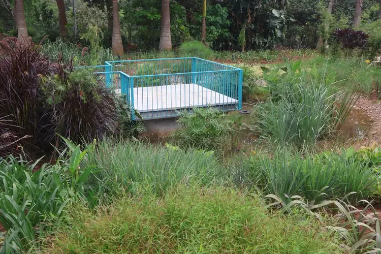 Chairman's Bungalow Landscape, photograph 6