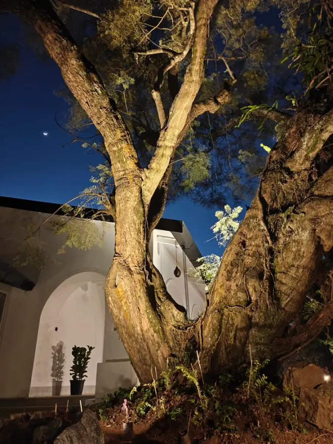 Chairman's Bungalow Landscape, photograph 10