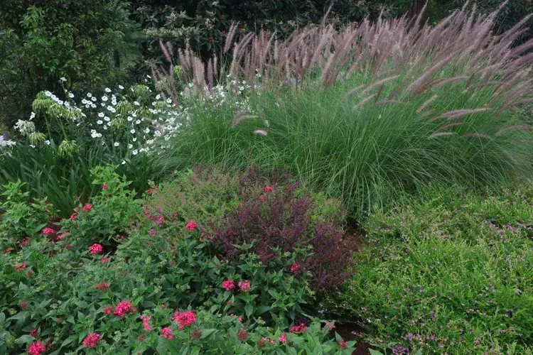 Chairman's Bungalow Landscape, photograph 13