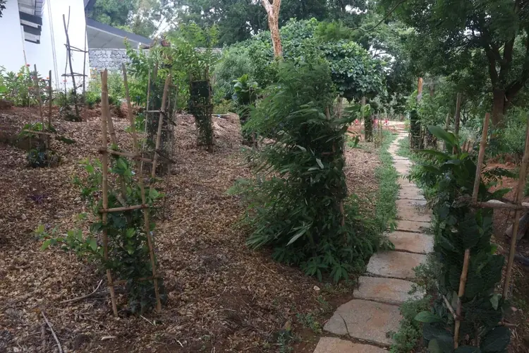 Chairman's Bungalow Landscape, photograph 21