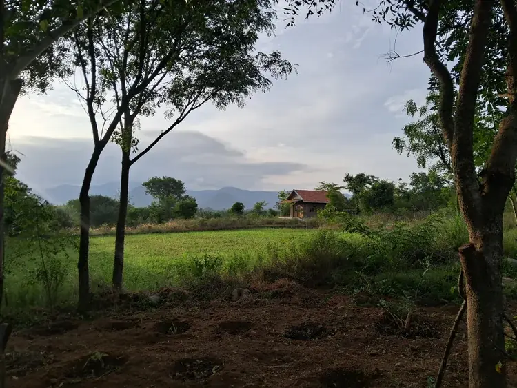 Context-Responsive Design, photograph 21