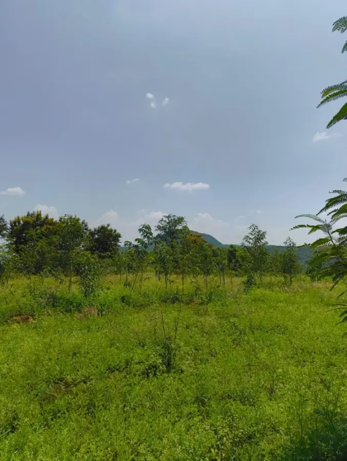 Context-Responsive Design, photograph 26