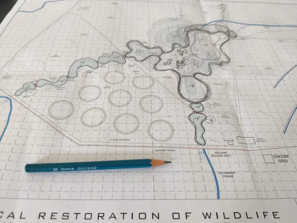 Formulating the site-specific restoration plan