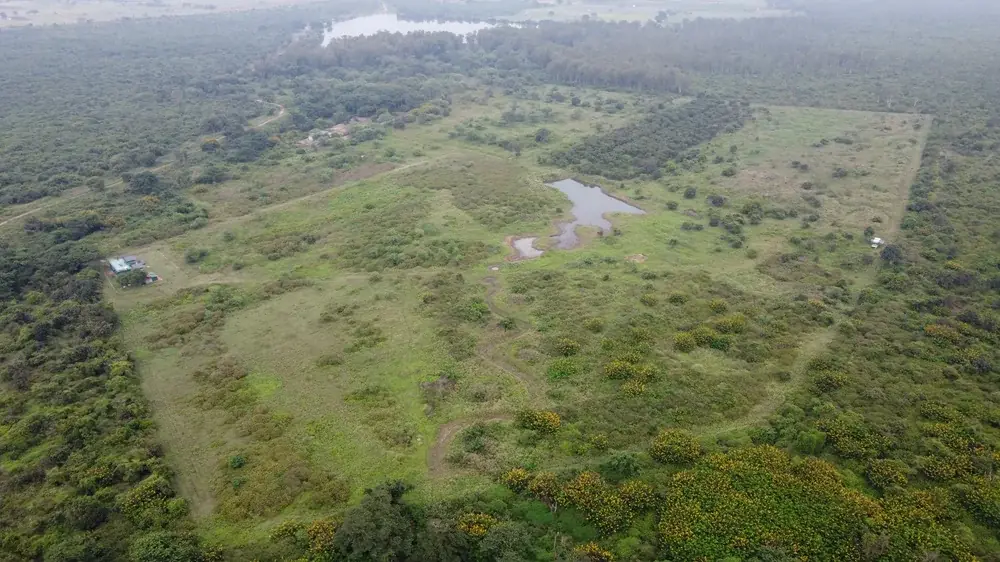 Site under restoration activities following the monsoon