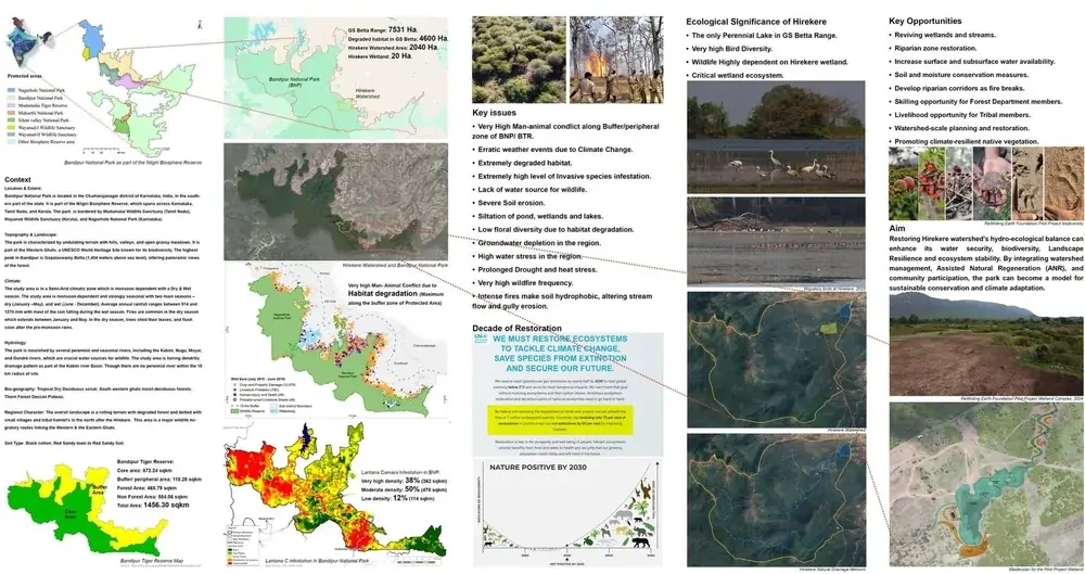 Ecological Restoration of Degraded Wildlife Habitat, photograph 8