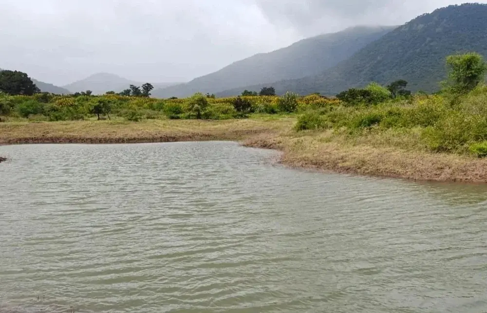 Newly developed wildlife wetland complex
