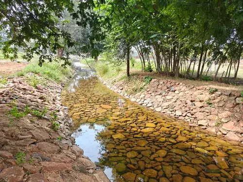 Regenerative Farm Landscapes, Karavulapalli, photograph 2