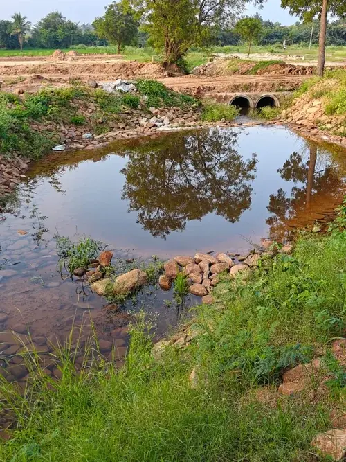 Regenerative Farm Landscapes, Karavulapalli, photograph 3