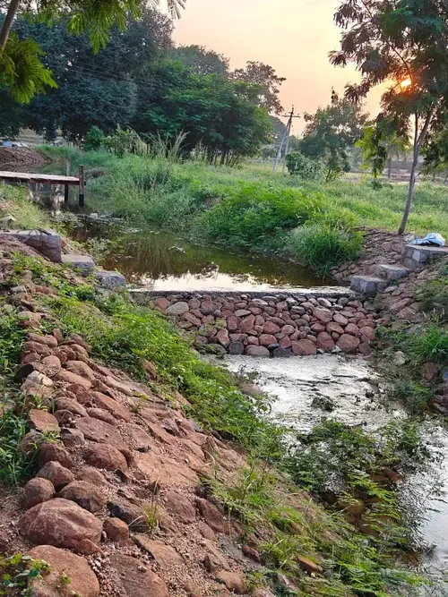 Regenerative Farm Landscapes, Karavulapalli, photograph 5