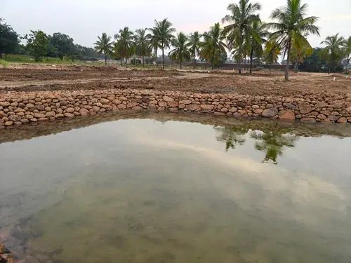 Regenerative Farm Landscapes, Karavulapalli, photograph 7