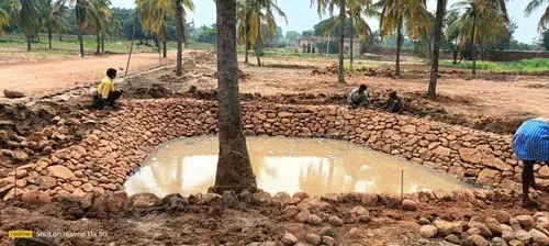 Regenerative Farm Landscapes, Karavulapalli, photograph 8