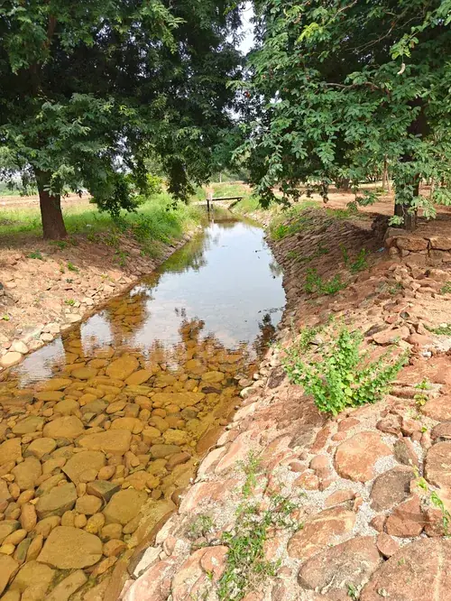 Regenerative Farm Landscapes, Karavulapalli, photograph 15