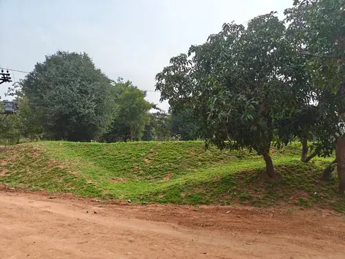 Regenerative Farm Landscapes, Karavulapalli, photograph 16