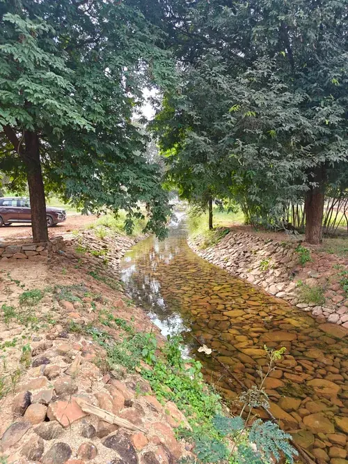 Regenerative Farm Landscapes, Karavulapalli, photograph 18