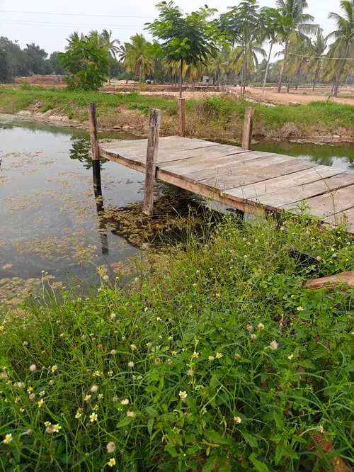 Regenerative Farm Landscapes, Karavulapalli, photograph 19
