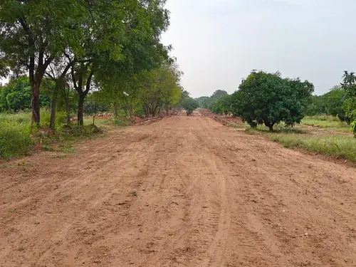 Regenerative Farm Landscapes, Karavulapalli, photograph 21