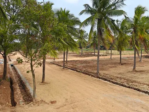 Regenerative Farm Landscapes, Karavulapalli, photograph 28